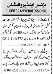 business and professional